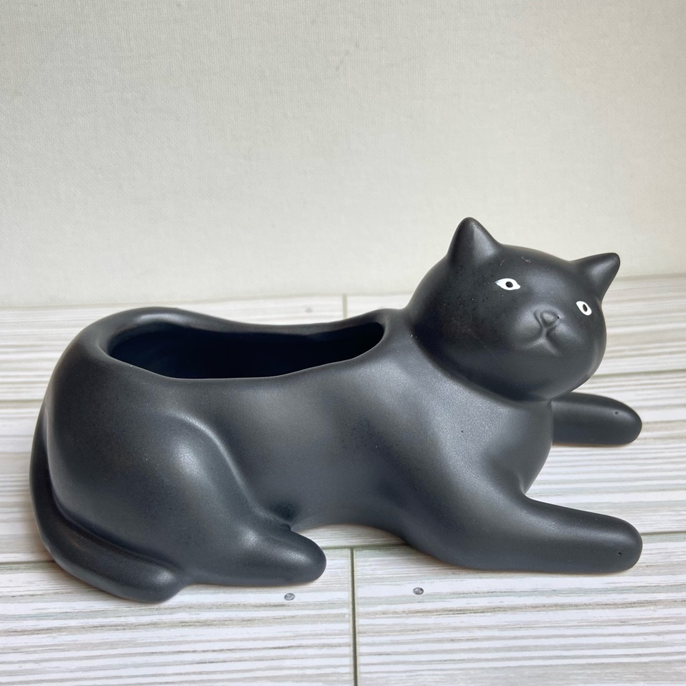 Kikkerland ceramic planter Cosmo the Black Cat by Eiko Shimada for succulents